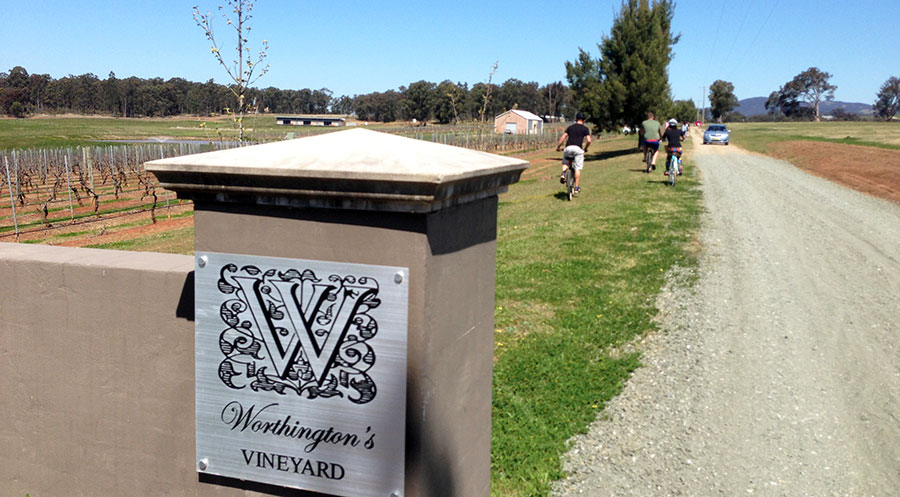 Cycling into Worthington's Vineyard