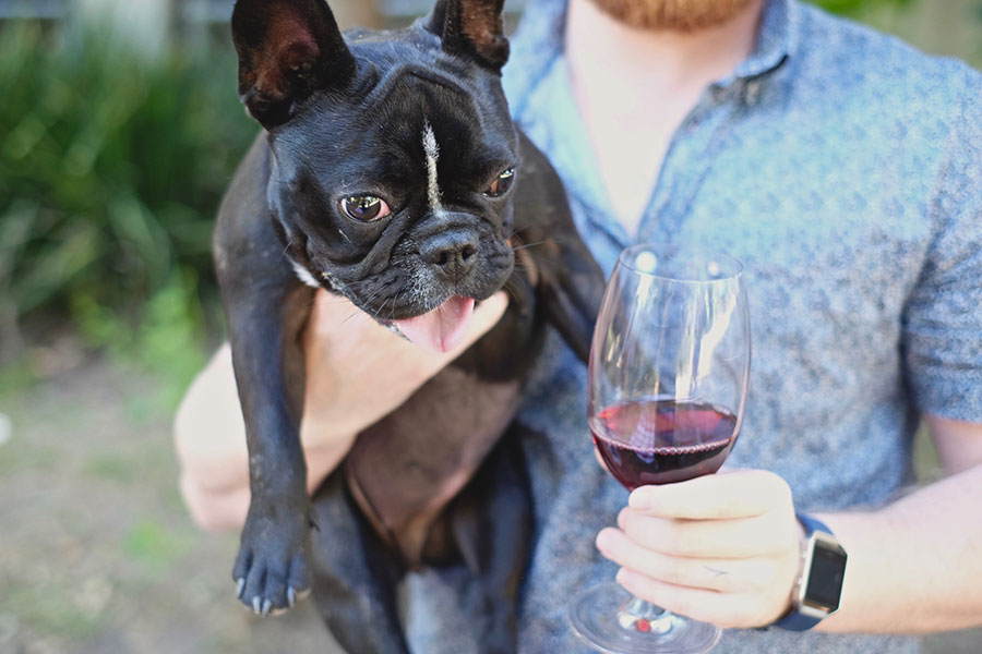 Puppies & Pinot. Supplied.