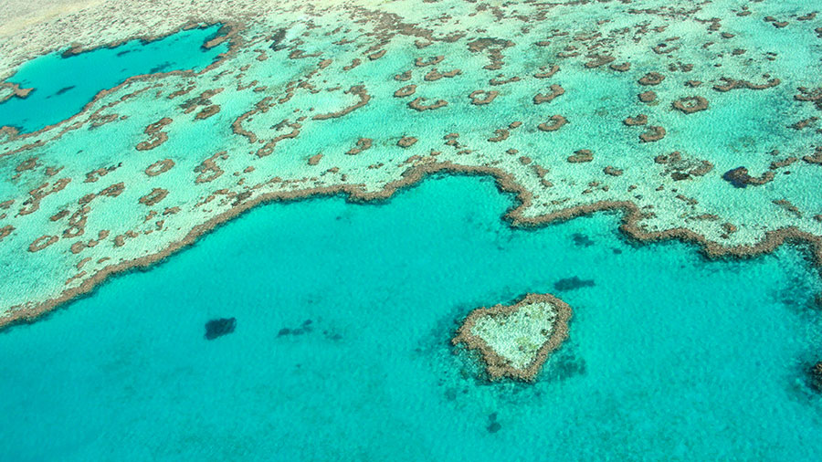 Aerial view of Heart Reef. Credit: Tourism Whitsundays