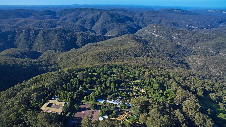 Blue Mountains Botanic Garden Mount Tomah. Credit: Supplied