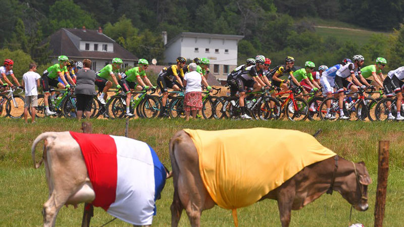 Tour de France passing through the French countryside. Credit: Tim de Waele / Supplied.