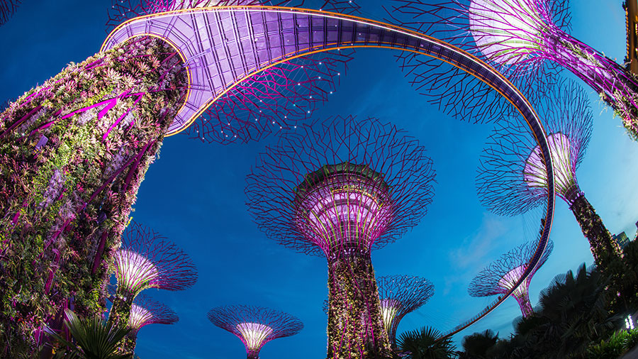 Singapore's spectacular Gardens by the Bay at night. Credit: Supplied.