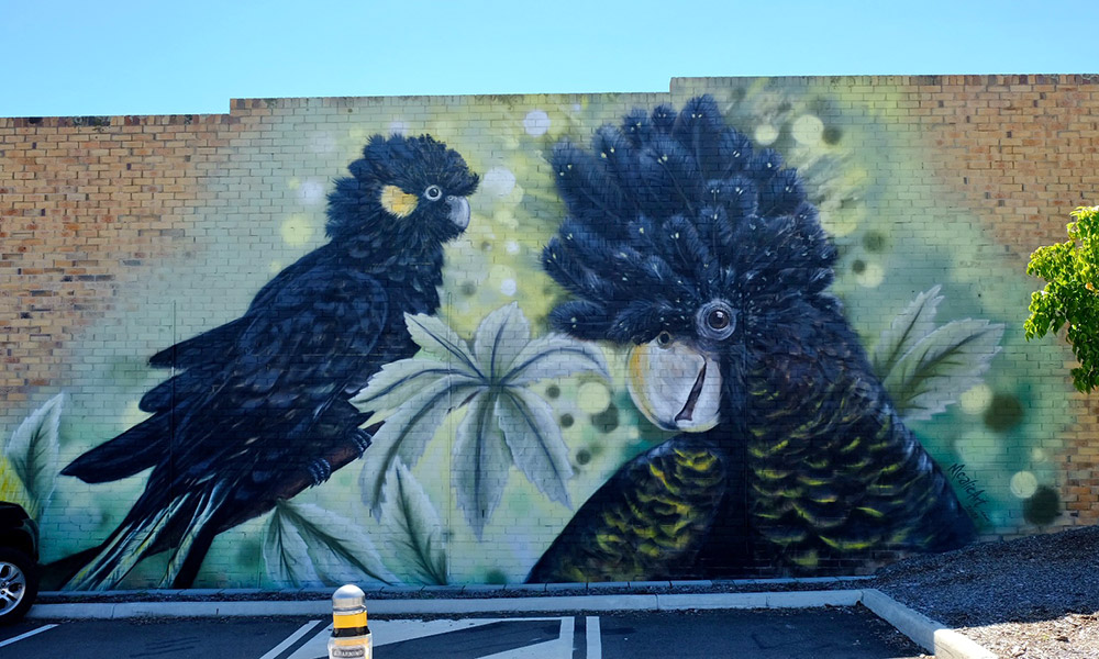 A Stanthorpe mural of black cockatoos. Credit: Chris Ashton