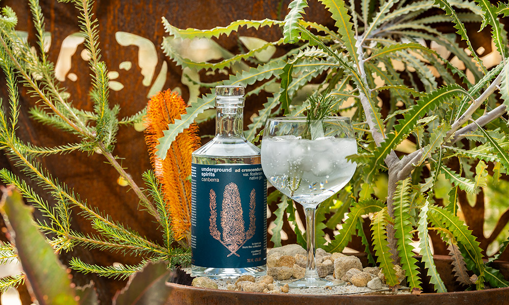 Ad Crescendum var. Flosferam gin and tonic. Credit: Mode Imagery
