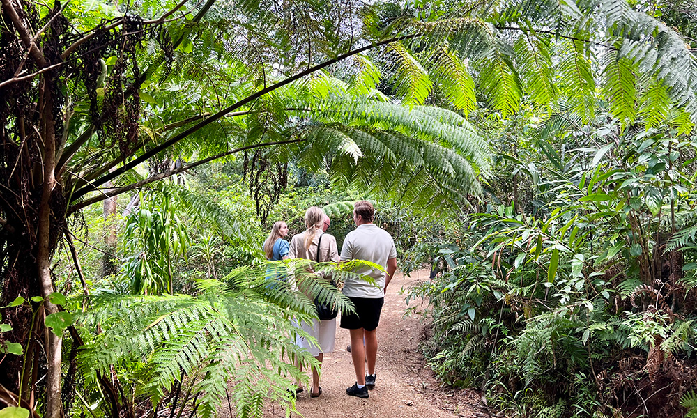 Enjoying a stroll through the property's rainforest. Photo: Simon Ceglinski