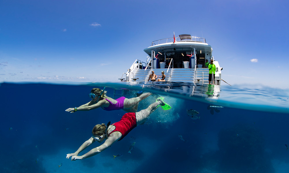 Experience a Silver Swift snorkelling trip to the Great Barrier Reef. Credit: Tourism and Events Queensland