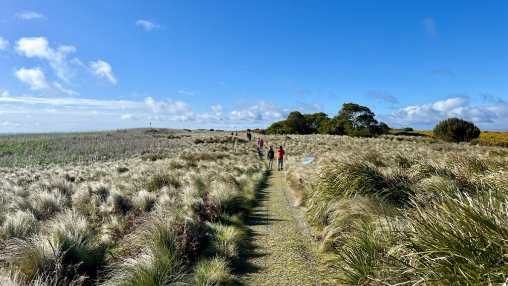 A 2km walking trail weaves around the top of The Nut. 